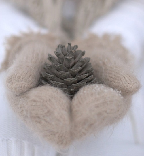 knit-mittens-pinecone-snow-white-Favim.com-173366_large