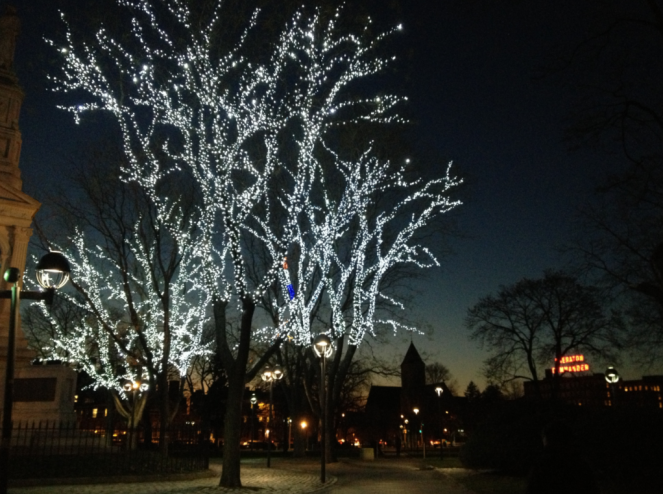 A tree with white lights on the Cambridge Common at night.