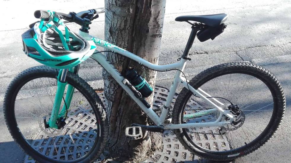 A white and turquoise mountain bike leaning against a tree. A turquoise helmet hangs on the handlebars.