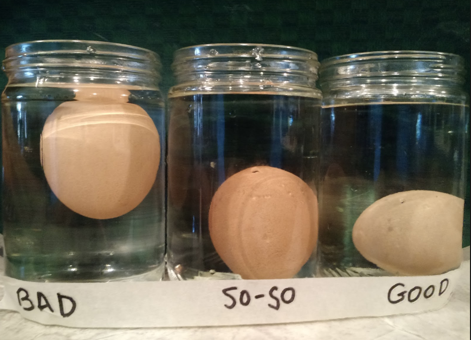 3 eggs in jars of water-- one bad floater, one so-so lurker, and one good one lying at the bottom of the jar.