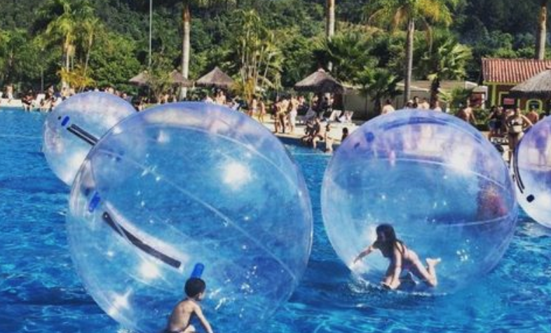 Adults and children flailing about inside clear airtight plastic balls in a pool.