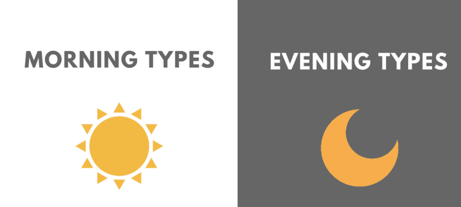 morning types and evening types, with a sun and moon to illustrate