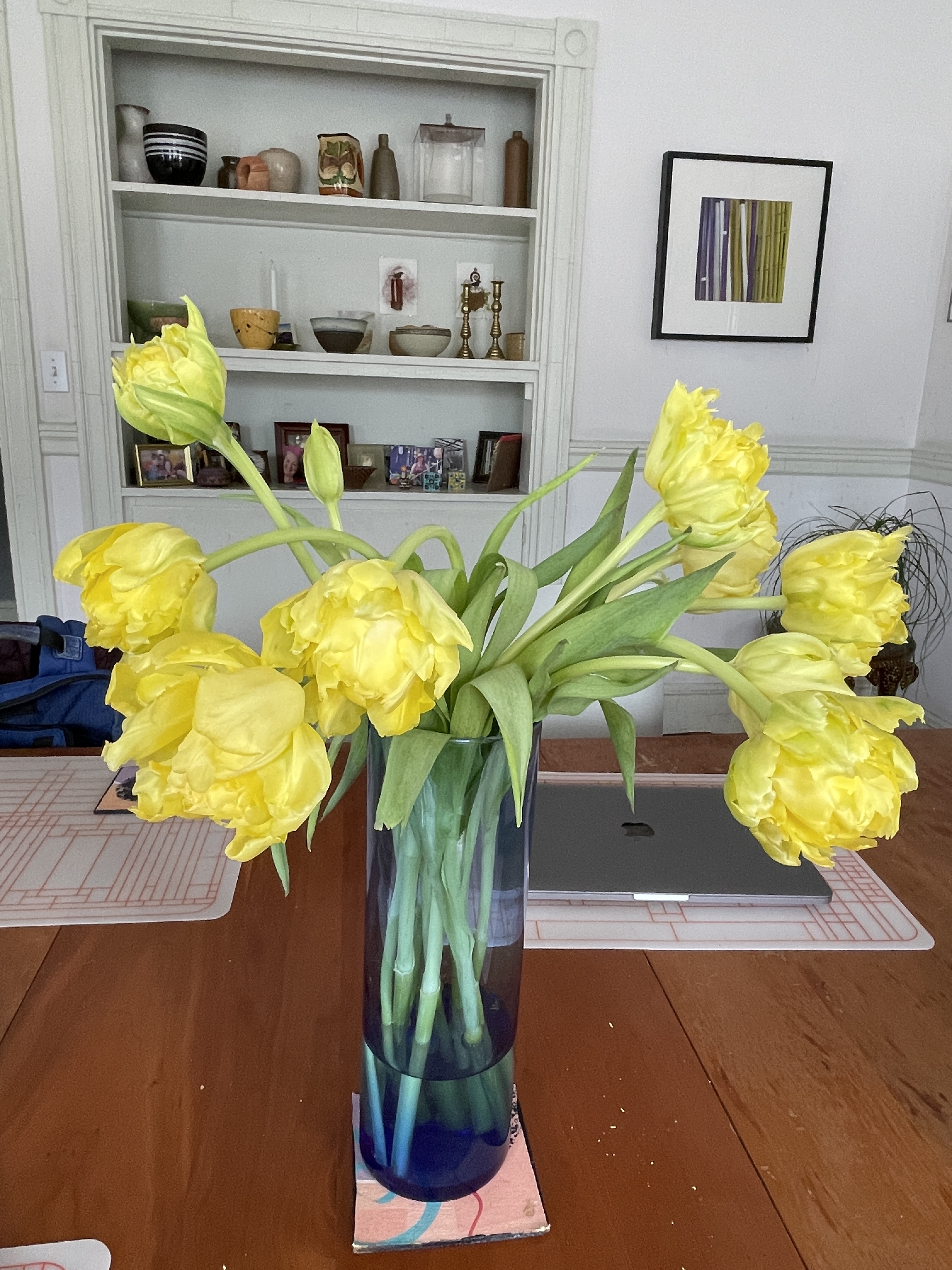 A bunch of lemon-chiffon yellow peony tulips, nodding hello to you.