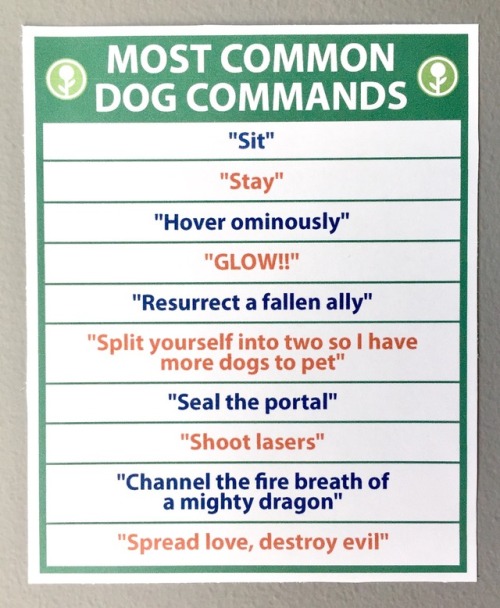 A white poster from a prank website called Obvious Plant, poster is trimmed in green and lists joke dog commands. 