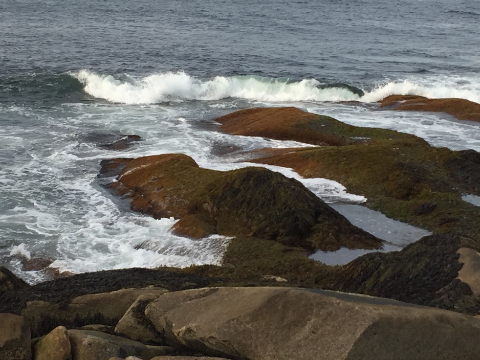 The Atlantic Ocean as seen from Halibut Point State Park in Massachusetts.